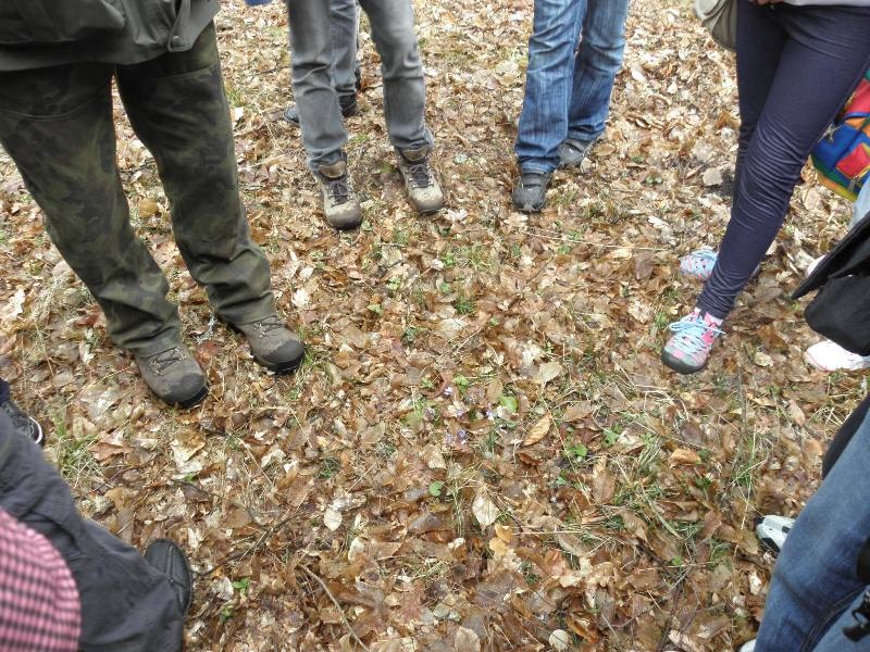 VIII Międzyszkolny Turniej Wiedzy Ekologiczno - Przyrodniczej 