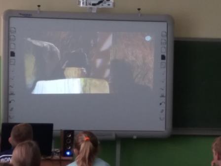 Teatr internetowy KSIĘGA DŻUNGLI