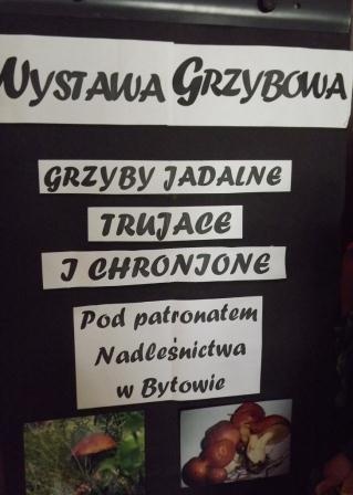 Wystawa grzybów